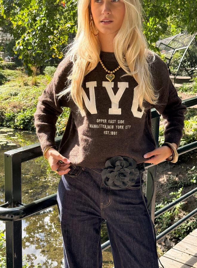 Trui NYC bruin