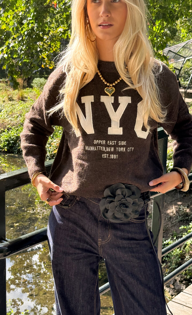 Trui NYC bruin
