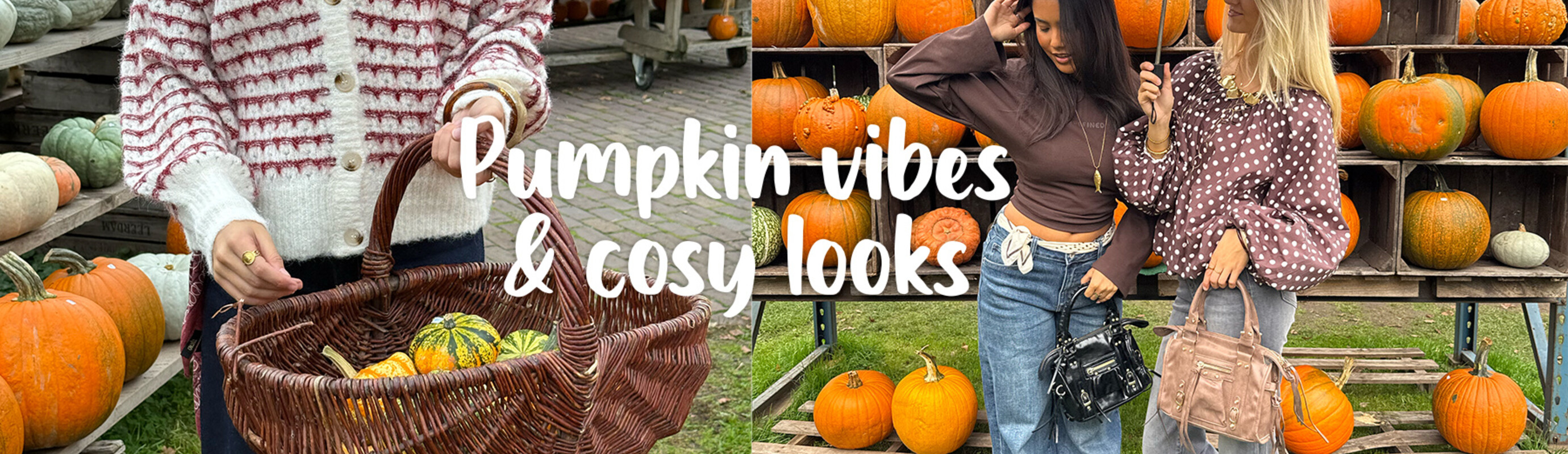 Pumpkin Season Is Calling!