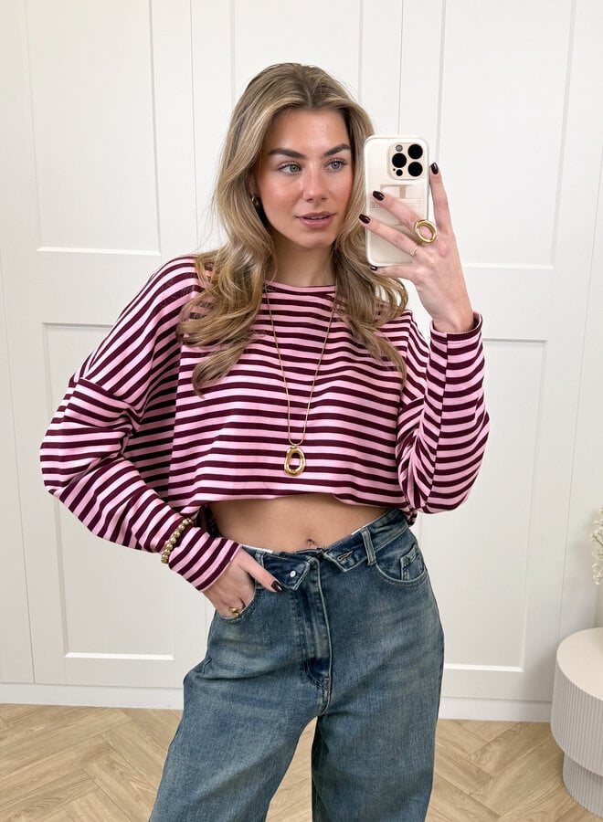 Longsleeve Sophie bruin/roze