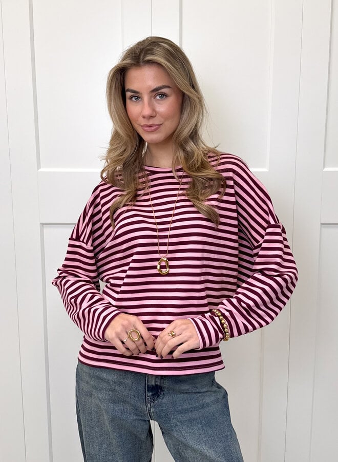 Longsleeve Sophie bruin/roze