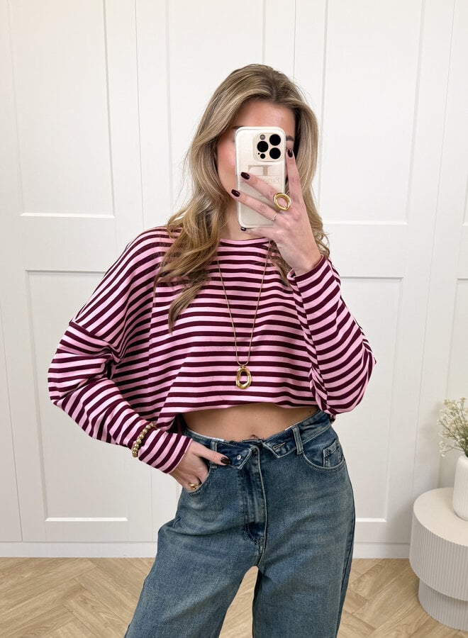 Longsleeve Sophie bruin/roze