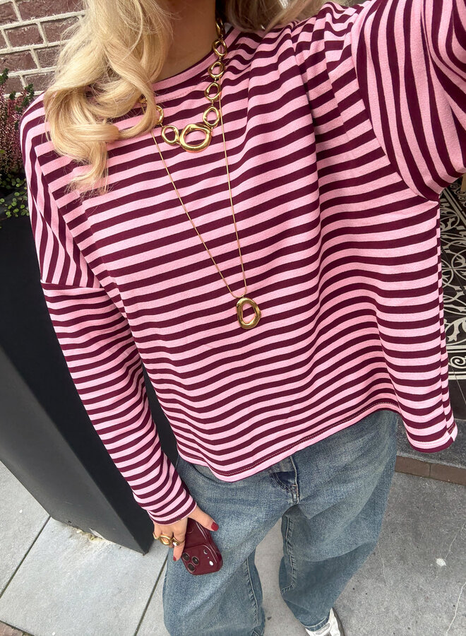 Longsleeve Sophie bruin/roze