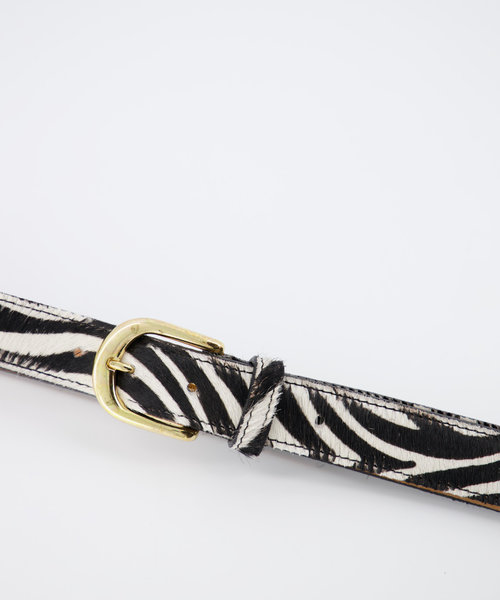 Balou - Zebra - Belts with buckles - White -  - Gold