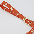 Avery - Classic Grain - Belts with buckles - Orange - D29 - Gold