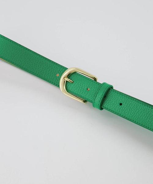 Basic Riem - 3 cm - Classic Grain - Belts with buckles - Green - Kelly Green T6138 - Gold