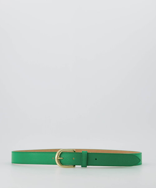 Basic Riem - 3 cm - Classic Grain - Riemen met gesp - Groen - Kelly Green T6138 - Goudkleurig