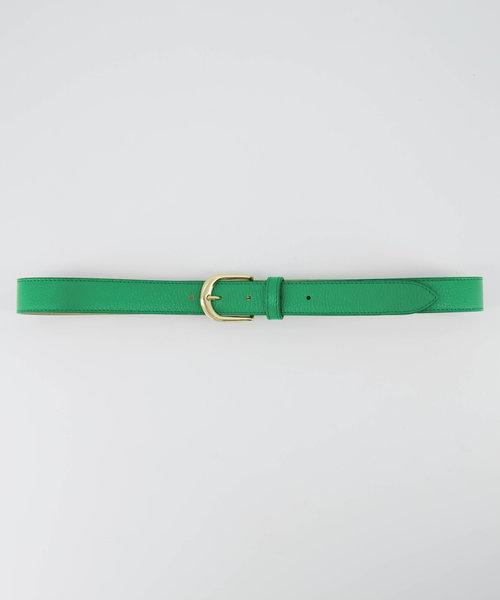 Basic Riem - 3 cm - Classic Grain - Belts with buckles - Green - Kelly Green T6138 - Gold
