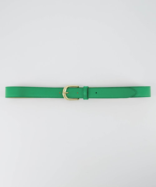 Basic Riem - 3 cm - Classic Grain - Riemen met gesp - Groen - Kelly Green T6138 - Goudkleurig