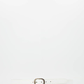 Iggy - Sauvage - Belts with buckles - White -  - Silver