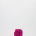 Vera - Suede - Riemen met gesp - Roze - Fuchsia 16 -