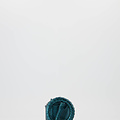 Vera - Metallic - Riemen met gesp - Blauw - Petrol -