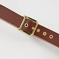 Diane - Classic Grain - Riemen met gesp - Bruin - D21 - Goudkleurig