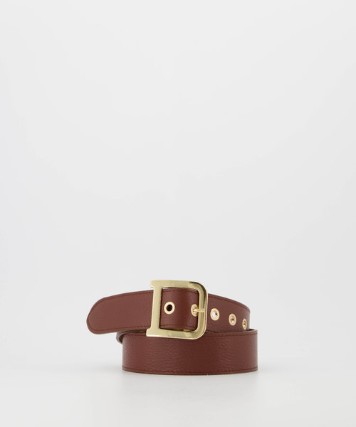 Diane - Classic Grain - Belts with buckles - Brown - D21 - Gold