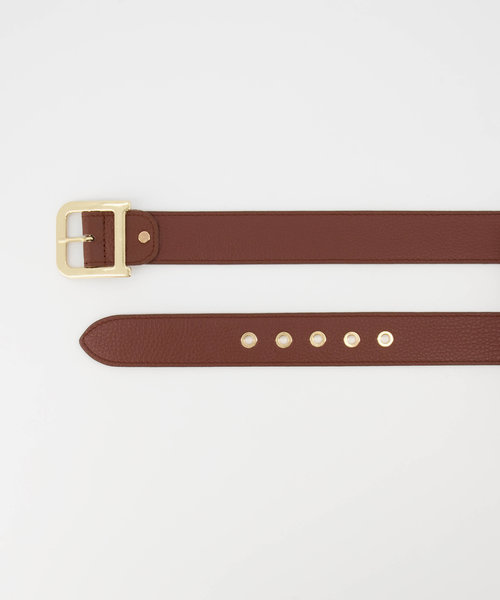 Diane - Classic Grain - Riemen met gesp - Bruin - D21 - Goudkleurig