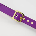 Diane - Classic Grain - Belts with buckles - Purple - 3638 - Gold