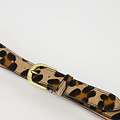 Balou - Hair - Belts with buckles - Brown - Luipaard - Bronze