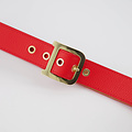 Diane - Classic Grain - Riemen met gesp - Rood - T1644 - Goudkleurig