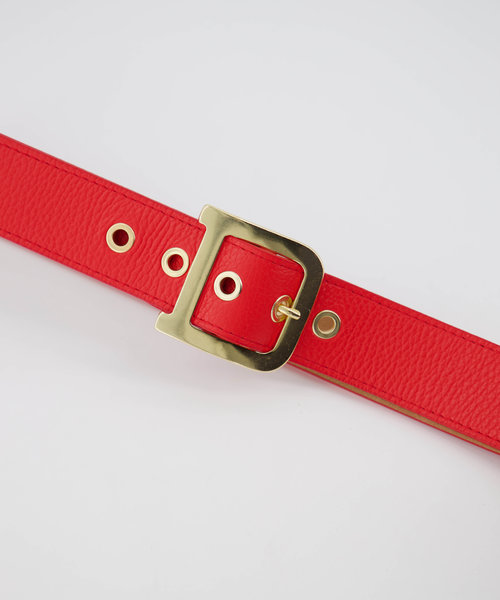 Diane - Classic Grain - Riemen met gesp - Rood - T1644 - Goudkleurig
