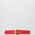 Diane - Classic Grain - Riemen met gesp - Rood - T1644 - Goudkleurig