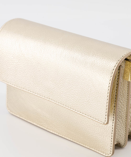 Alicia - Classic Grain - Crossbody bags -  -  - Gold