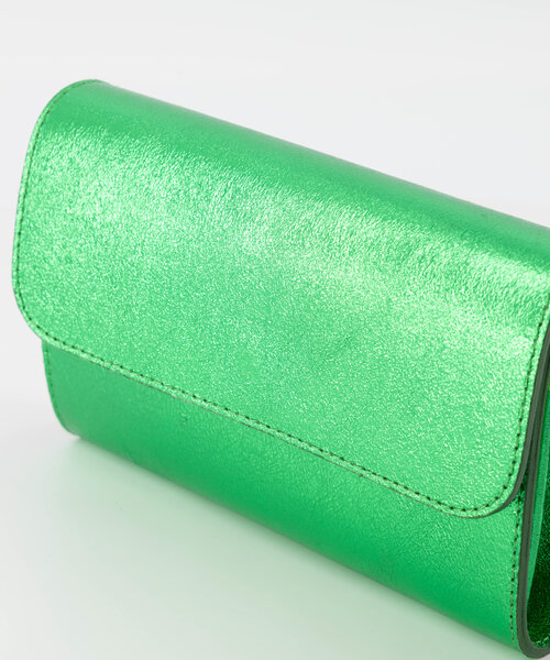 Valencia - Metallic - Avondtassen - Groen - L529 - Goudkleurig