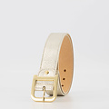 Diane - Classic Grain - Riemen met gesp - Goud -  - Goudkleurig