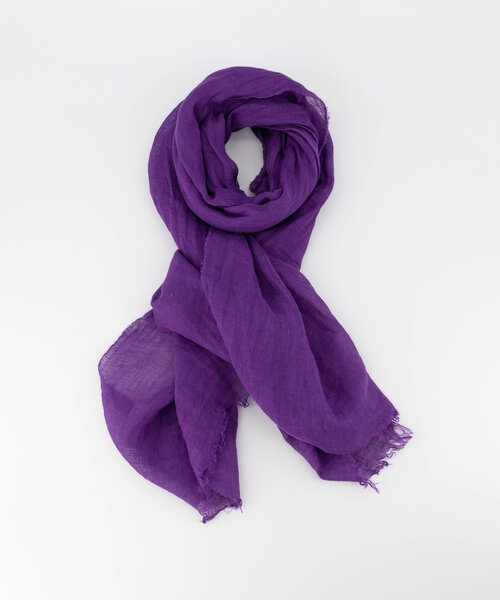 Leny -  - Effen sjaals - Paars -  -