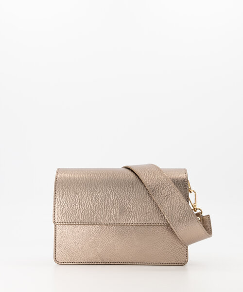 Alicia - Classic Grain - Crossbody bags -  - DL712 - Gold