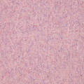Lois -  - Effen sjaals  - Roze - Blend AS21364 -