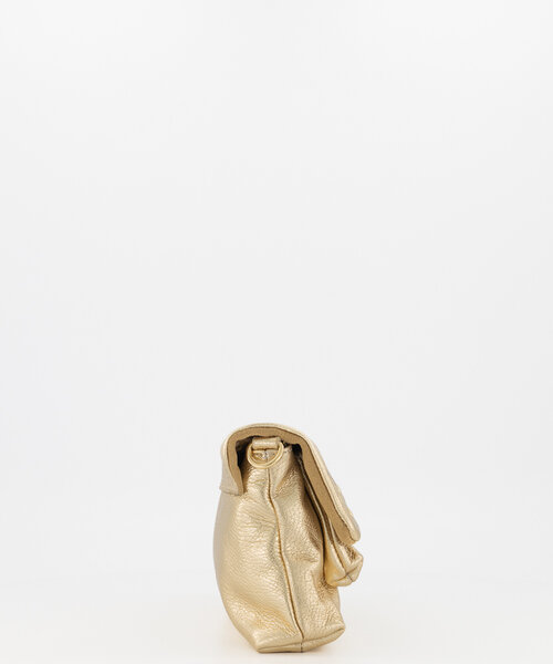 Jade - Bags - Classic Grain - Gold DL731