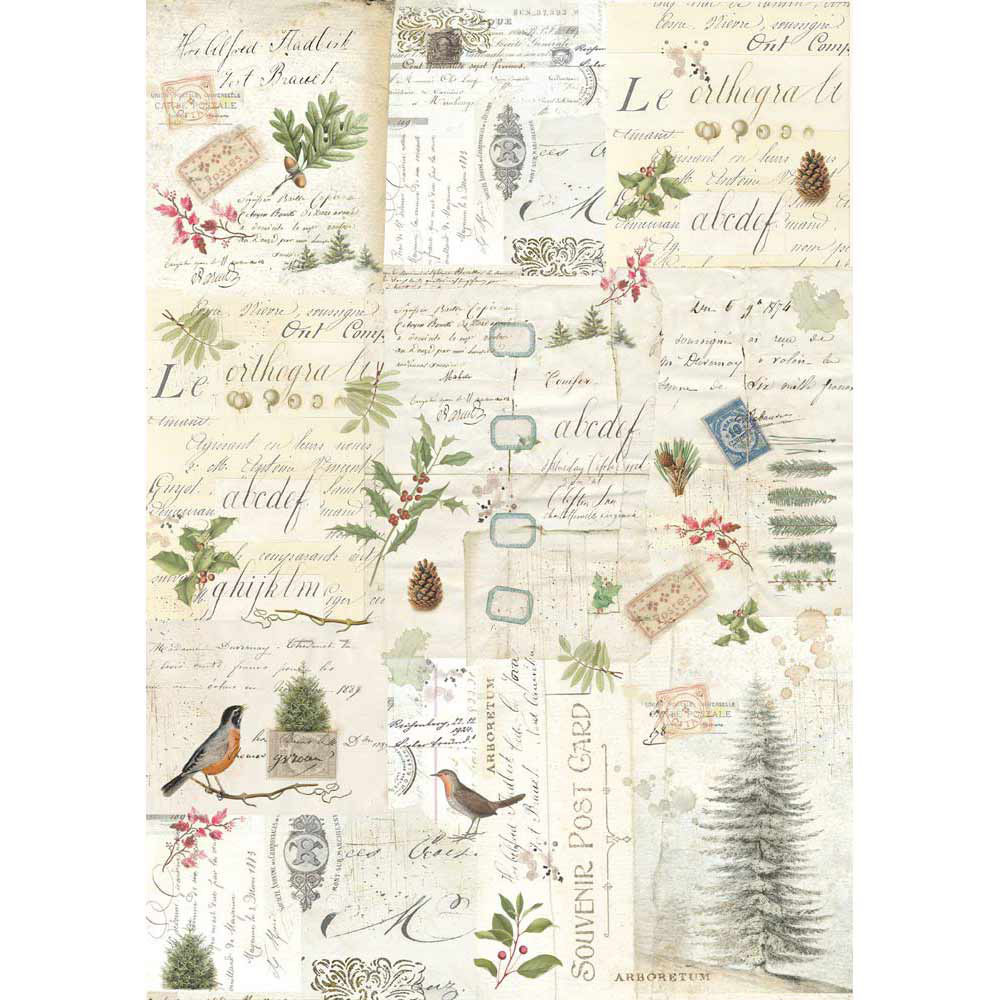 Stamperia A3 Rice paper packed Winter Botanic