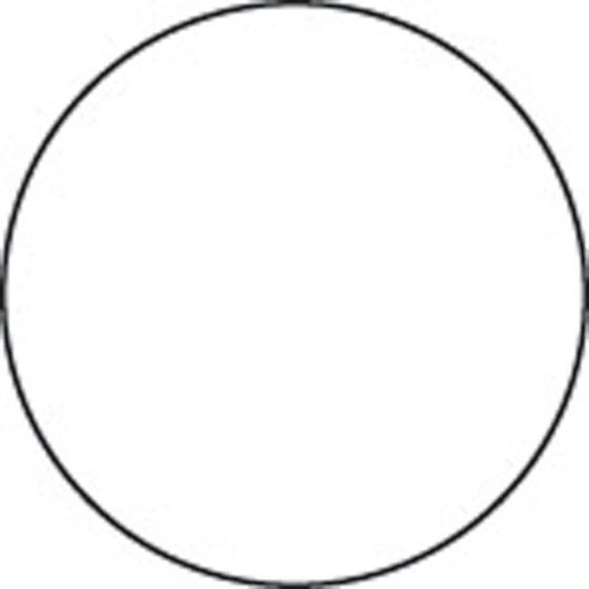 Stamperia Allegro paint 59 ml.white