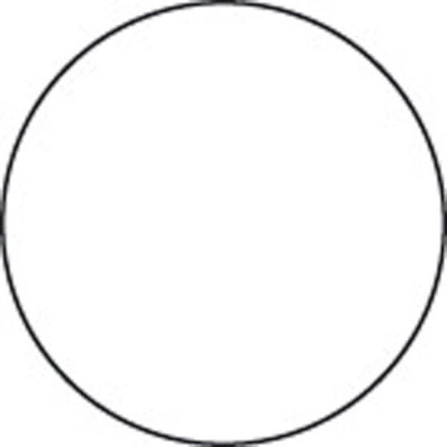 Stamperia Allegro paint 59 ml.titanium white