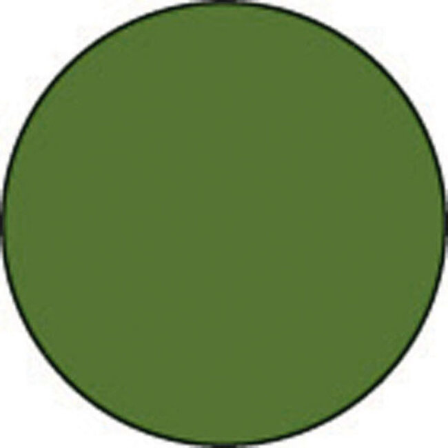 Stamperia Allegro paint 59 ml avocado