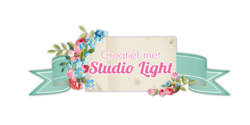 Studio Light