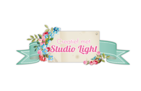 Studio Light