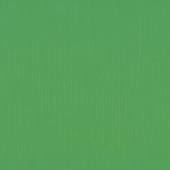 Florence • Cardstock texture 30,5x30,5cm Holly