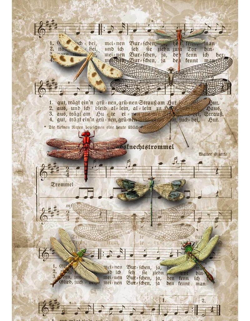 Decoupage Queen Dragonflies on SheetMusic A3Dragonflies on SheetMusic A3