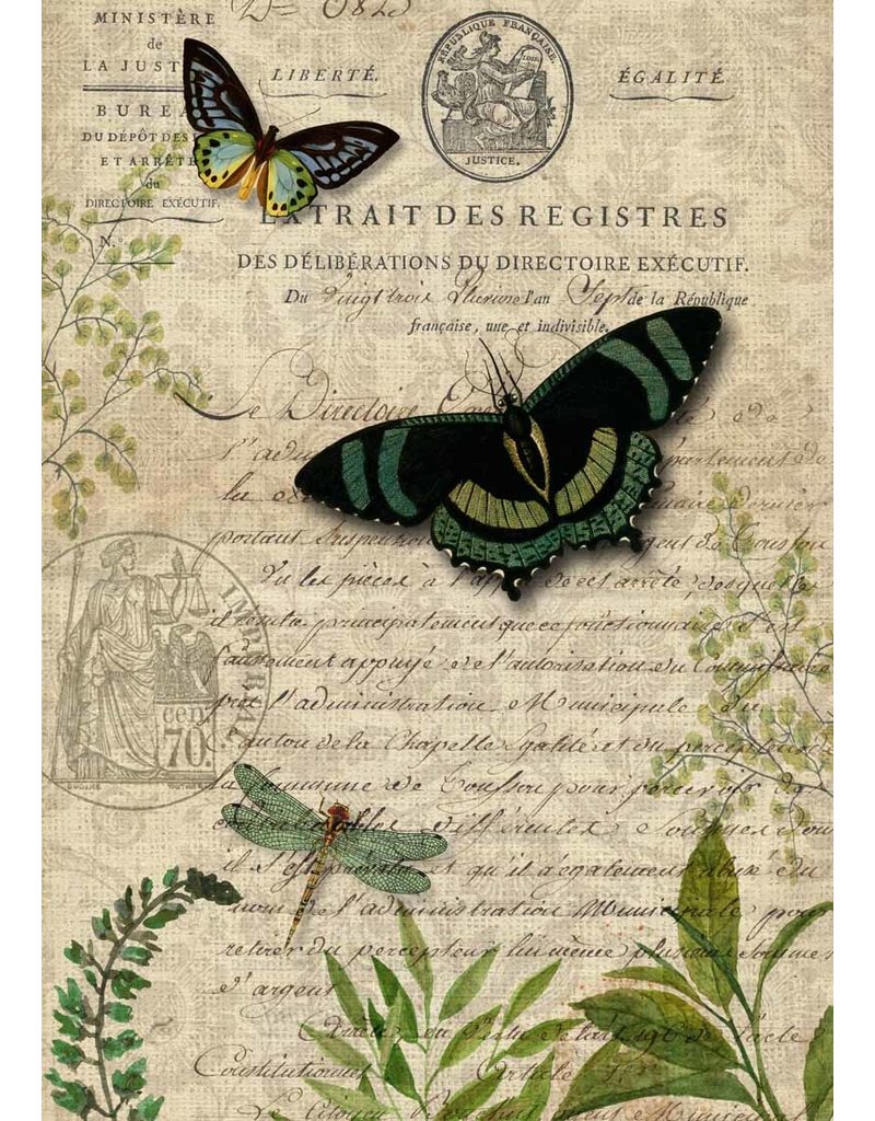 Decoupage Queen Butterfly Botanical A3Butterfly Botanical A3