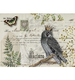 Decoupage Queen Owl Botanicals A3