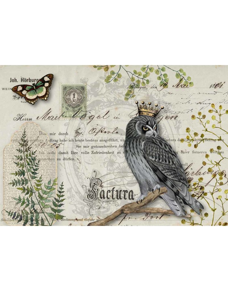 Decoupage Queen Owl Botanicals A3