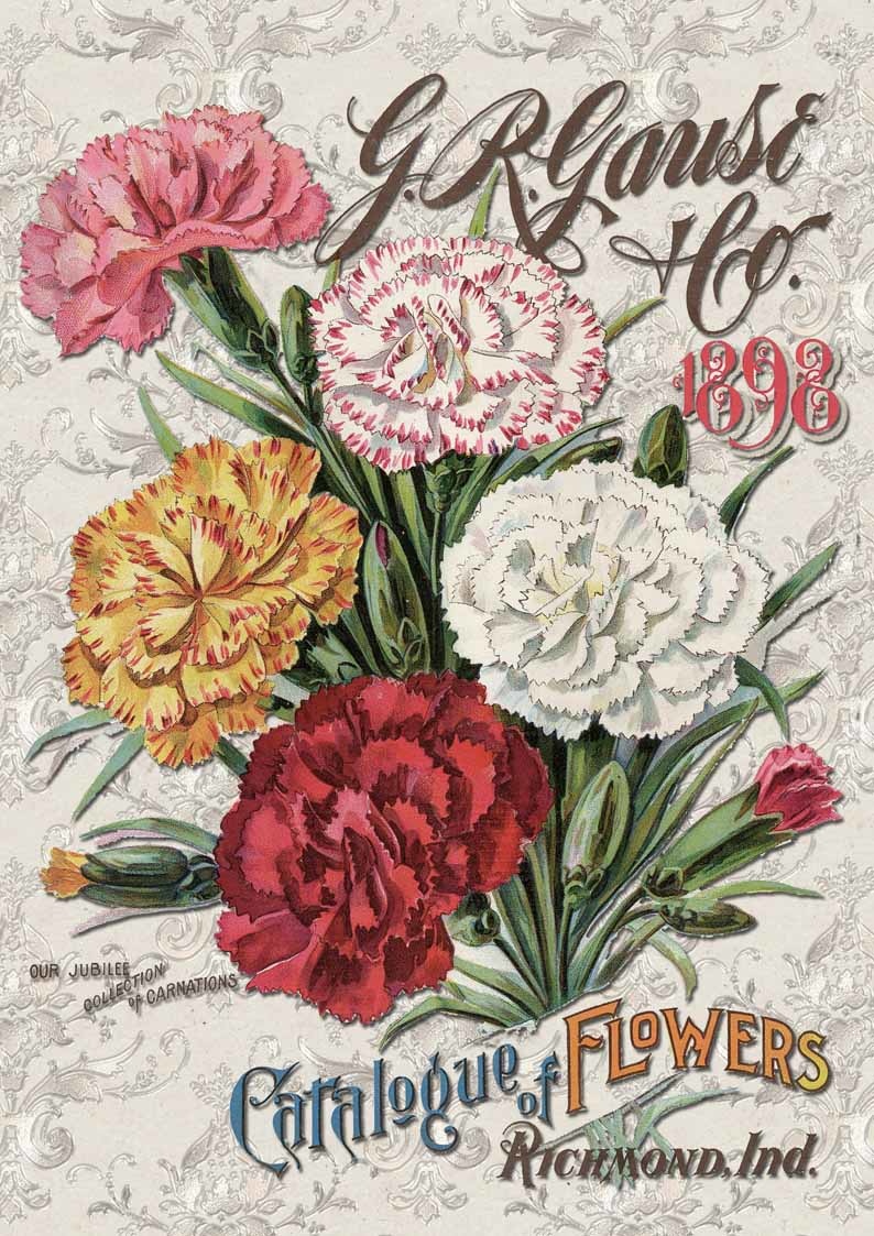 Decoupage Queen Carnation Catalog A3