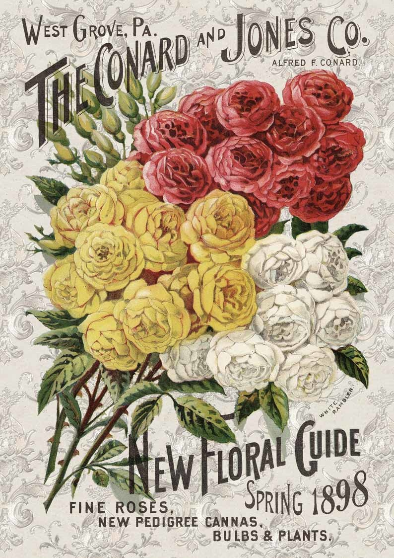 Decoupage Queen Roses Catalog A3