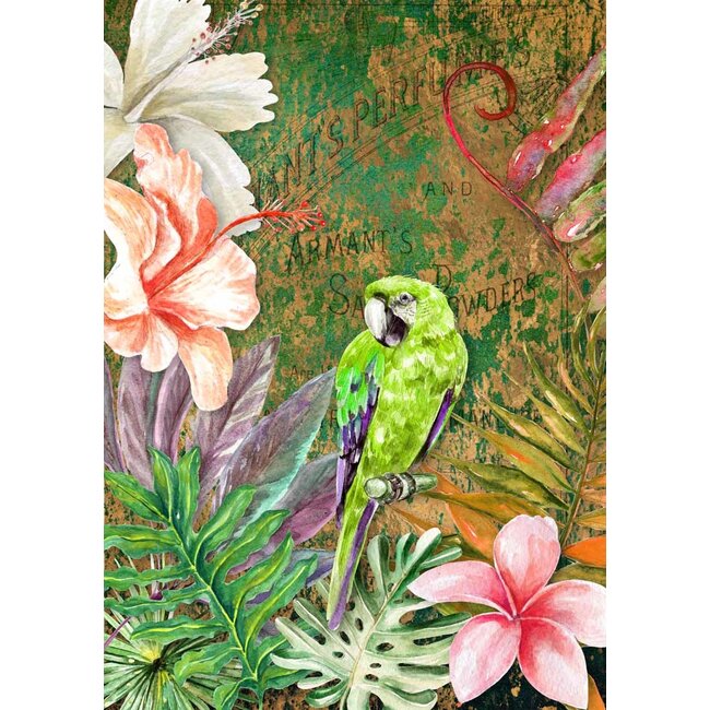 Decoupage Queen Tropical Green Bird Rice Paper A4