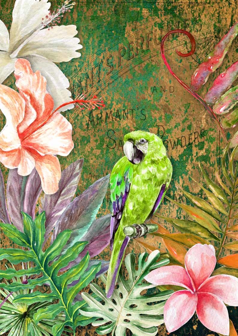 Decoupage Queen Tropical Green Bird Rice Paper A4