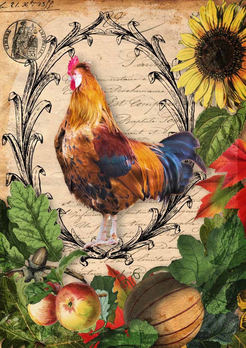 Decoupage Queen Autumn Rooster with Harvest Vegetables Rice Paper A4