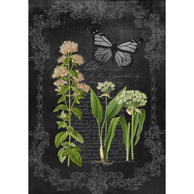 Decoupage Queen Oregano and Garlic Chalkboard A4Oregano and Garlic Chalkboard A4