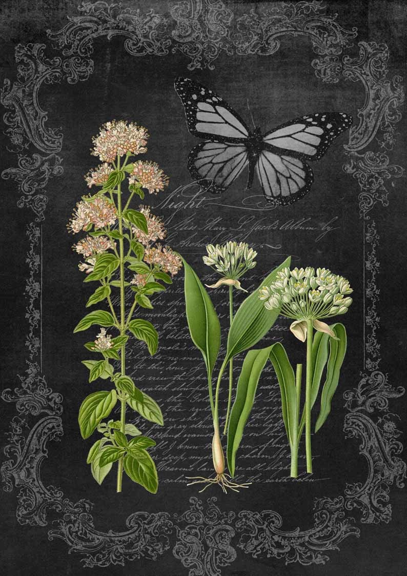 Decoupage Queen Oregano and Garlic Chalkboard A4