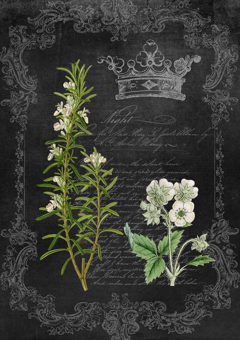 Decoupage Queen Rosemary and Wildflower Chalkboard A4